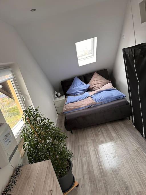Panoramablick In Apartment Litzendorf